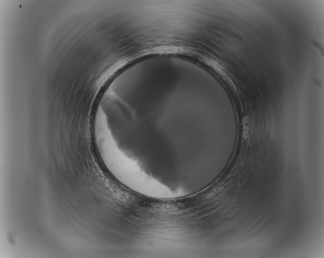 X0000100331229200806261254