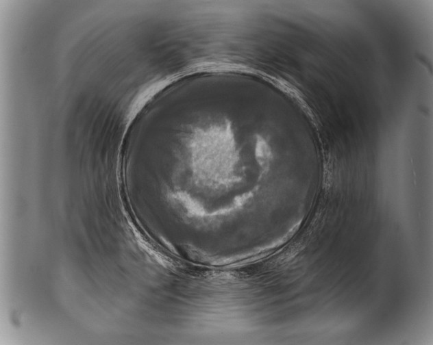 X0000100331231200806261254