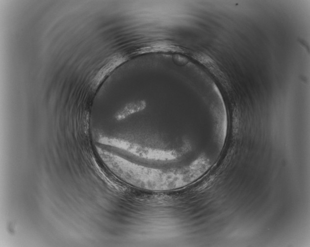 X0000100331233200806261254