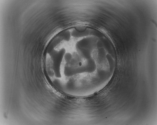 X0000100331235200806261254