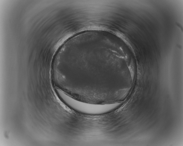 X0000100331237200806261254