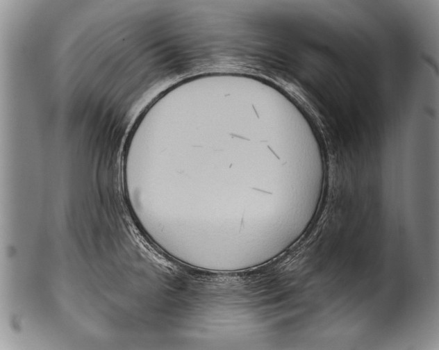 X0000100331238200806261254