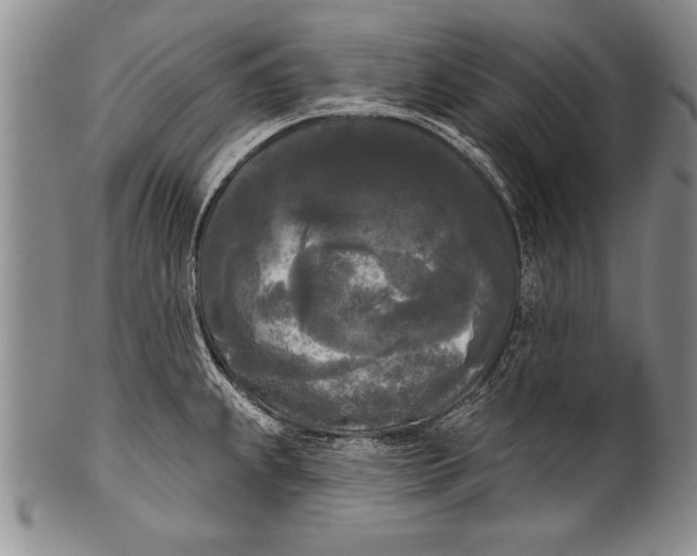 X0000100331239200806261254