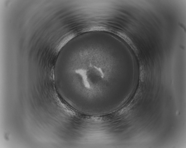 X0000100331241200806261254