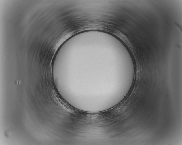 X0000100331242200806261254