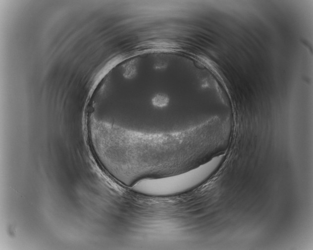 X0000100331243200806261254