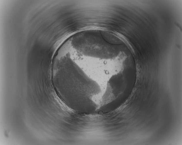 X0000100331244200806261254