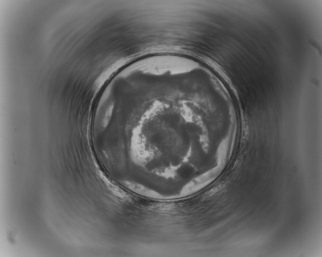 X0000100331245200806261254