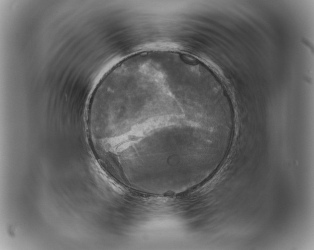 X0000100331248200806261254