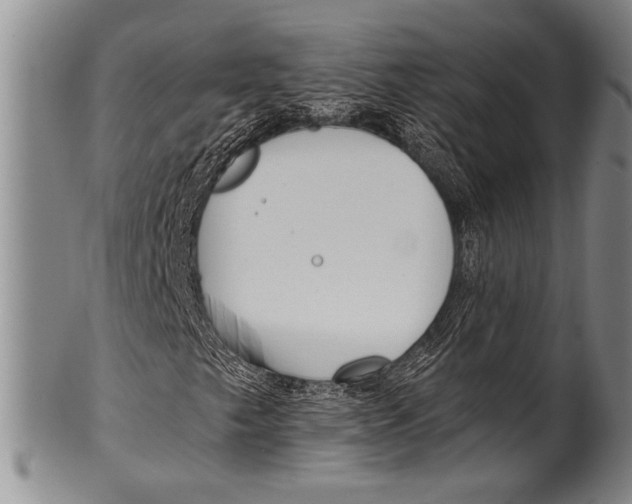 X0000100331249200806261253