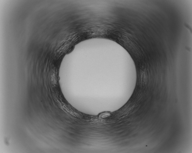 X0000100331250200806261253