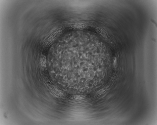 X0000100331251200806261253