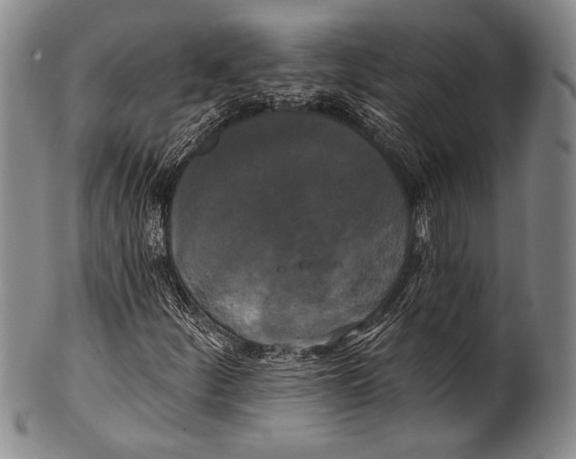 X0000100331252200806261253