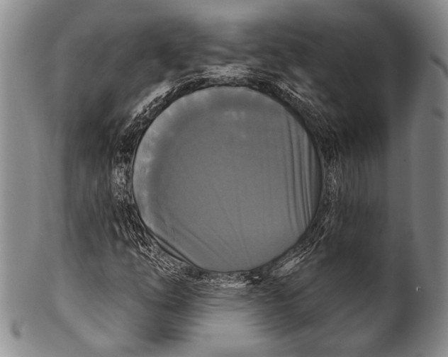 X0000100331254200806261253