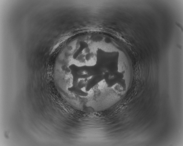 X0000100331255200806261253