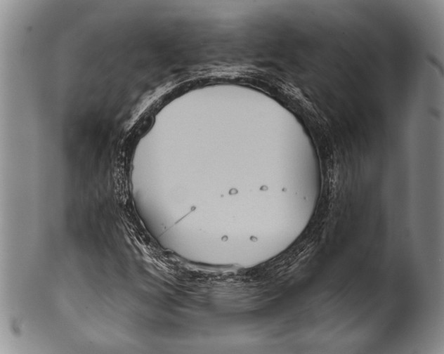 X0000100331256200806261253