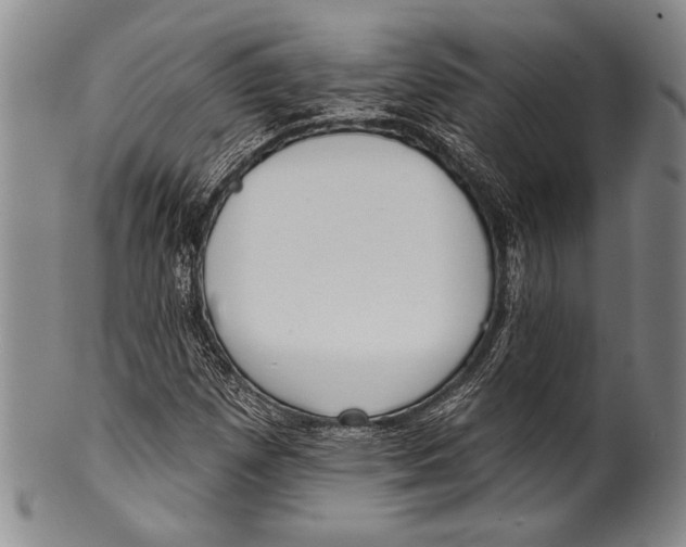 X0000100331257200806261253