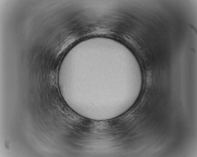 X0000100331258200806261253