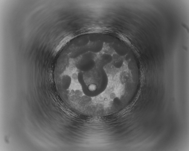 X0000100331259200806261253