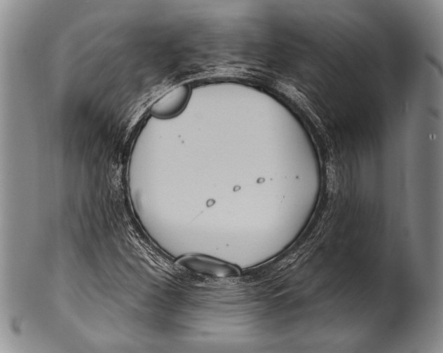 X0000100331260200806261253