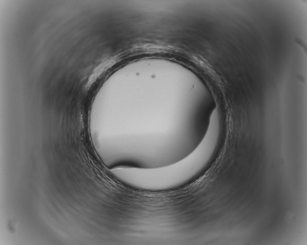 X0000100331261200806261253