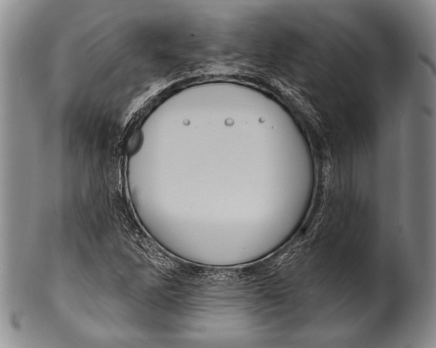 X0000100331262200806261253