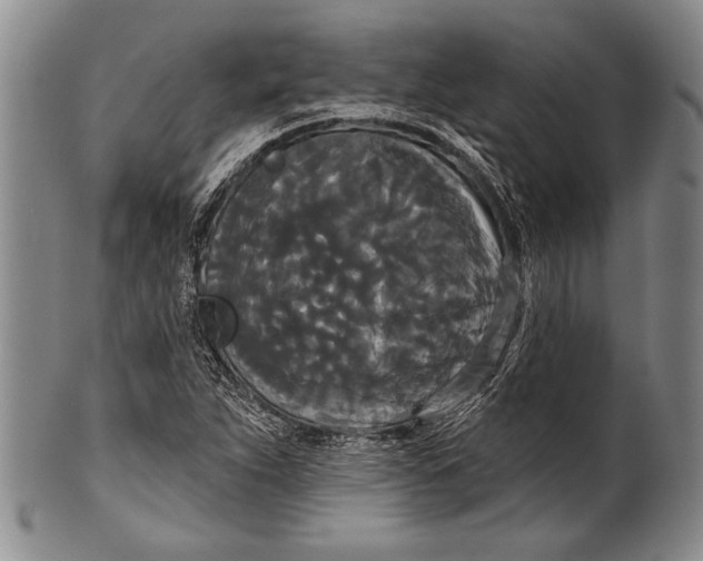 X0000100331263200806261253