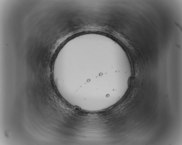 X0000100331264200806261253