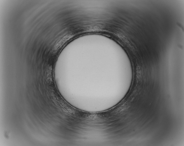 X0000100331265200806261253