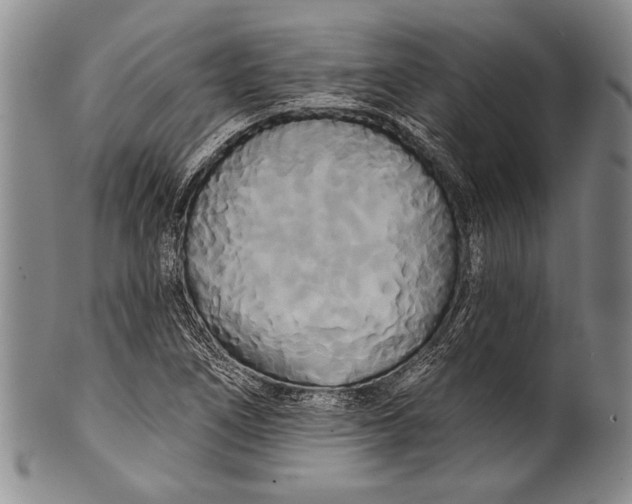 X0000100331266200806261253