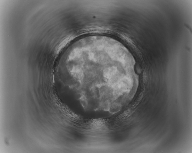 X0000100331267200806261253