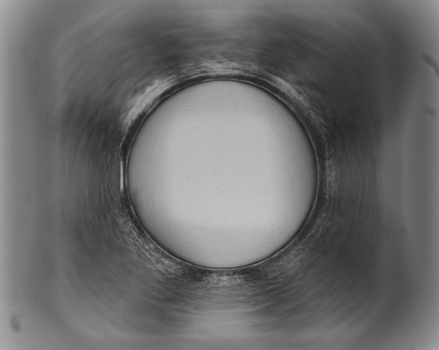 X0000100331269200806261253