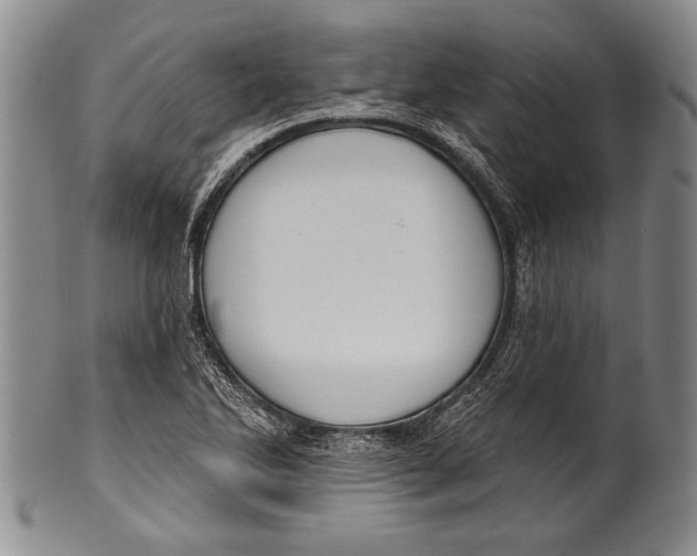 X0000100331270200806261253