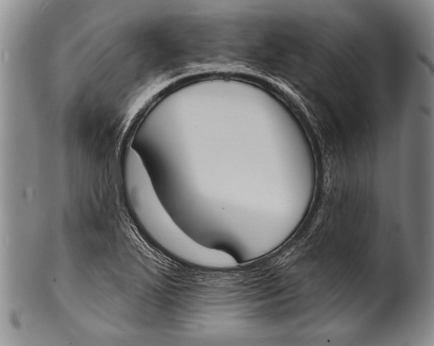 X0000100331271200806261253