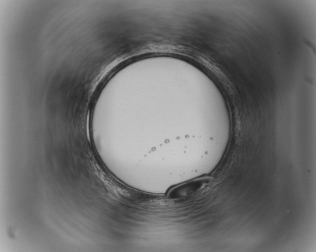 X0000100331272200806261253