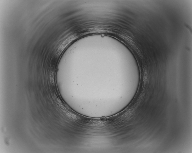 X0000100331273200806261253