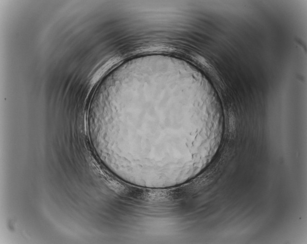 X0000100331274200806261253