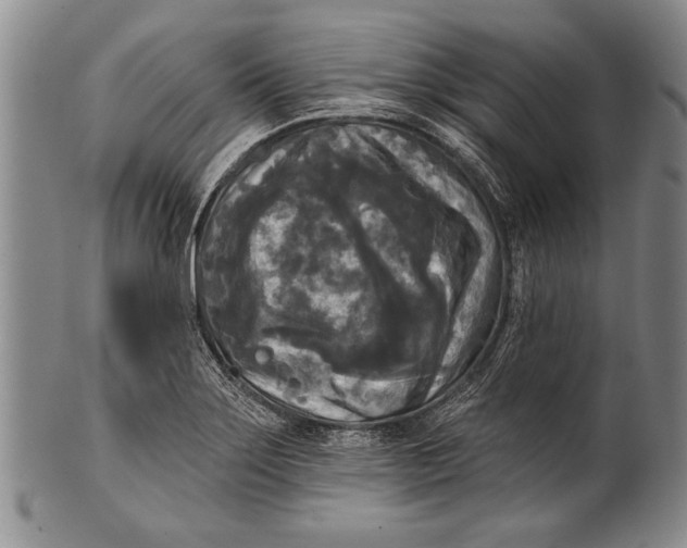 X0000100331275200806261253