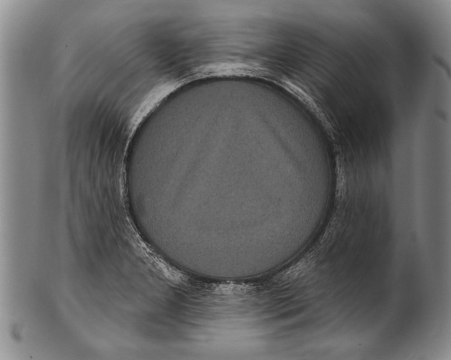 X0000100331277200806261253