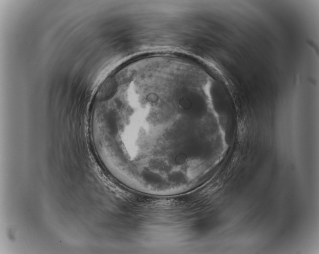 X0000100331279200806261253