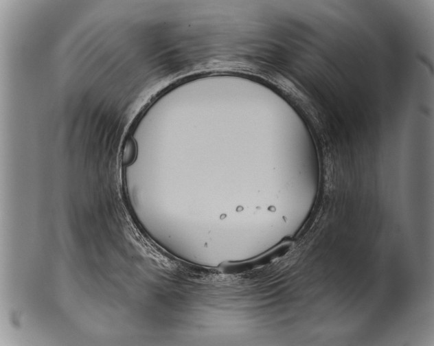 X0000100331280200806261253