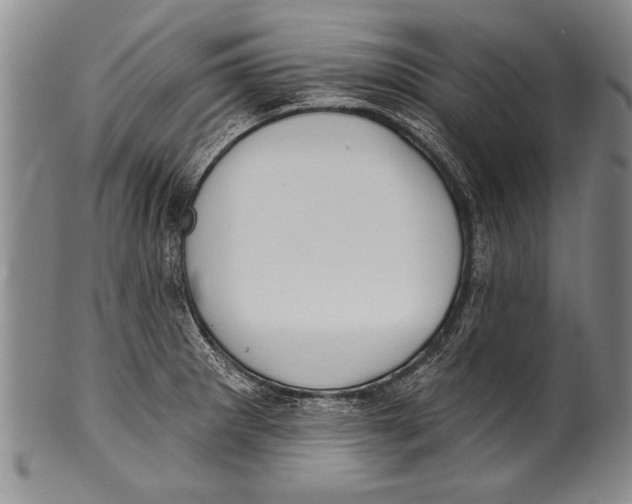 X0000100331281200806261253