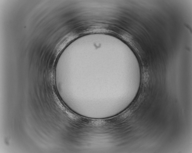 X0000100331282200806261253