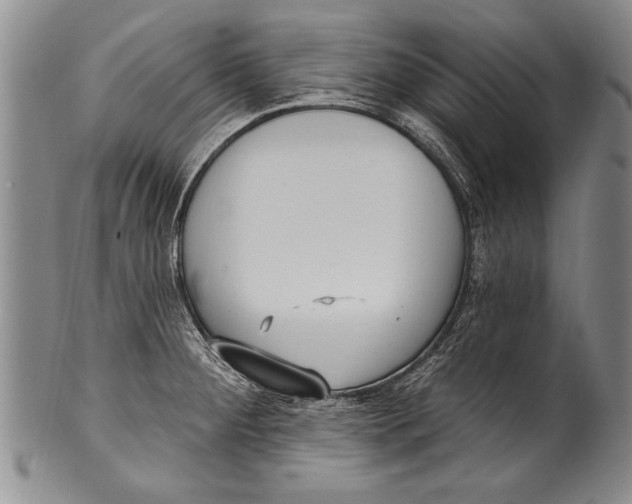 X0000100331284200806261252