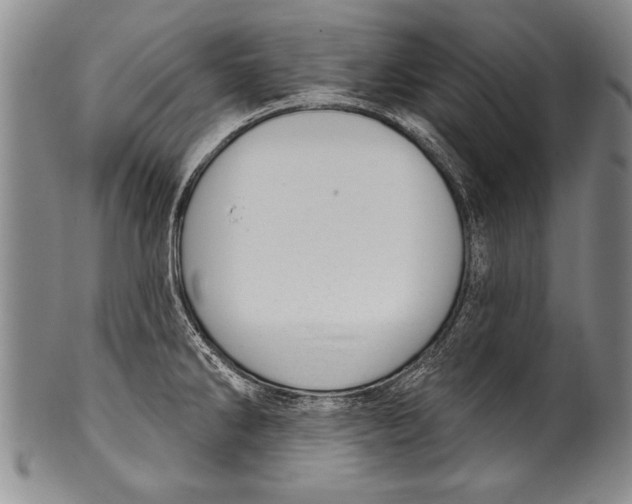 X0000100331286200806261252