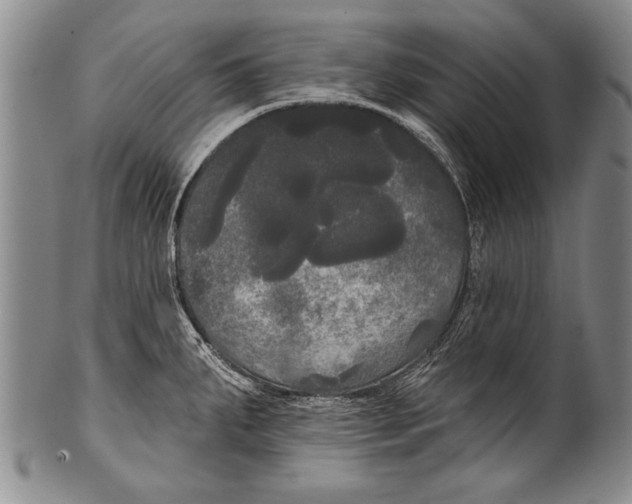 X0000100331287200806261252