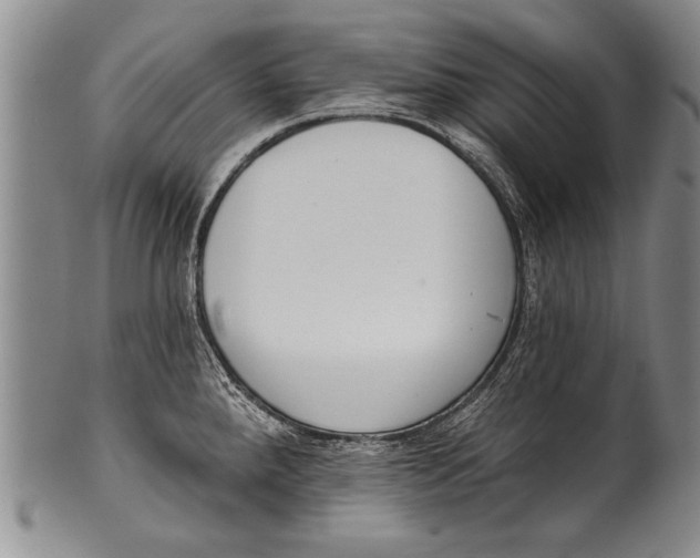 X0000100331288200806261252