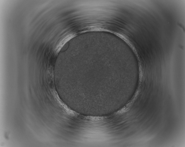 X0000100331289200806261252