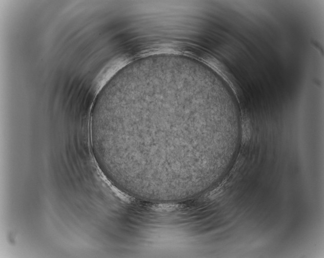 X0000100331290200806261252