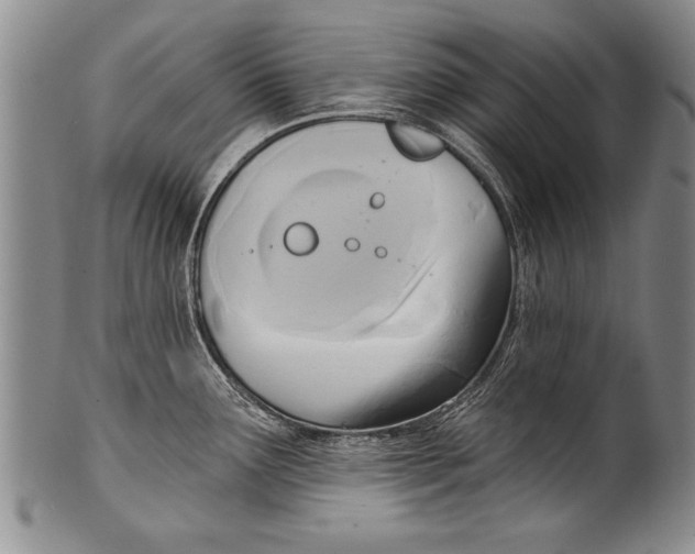 X0000100331291200806261252